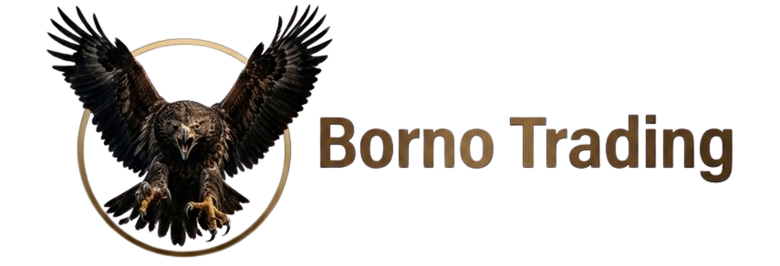BornoTrading Logo